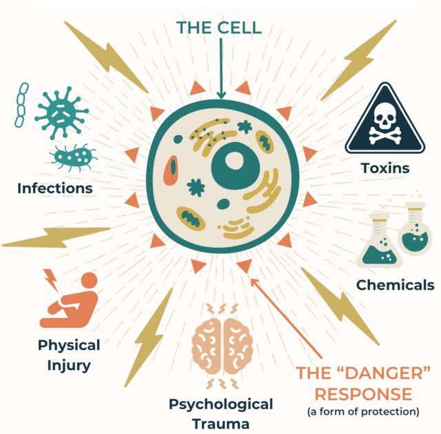 Schema della cellula circondata da infezioni, tossine, sostanze chimiche, traumi fisici e traumi psicologici