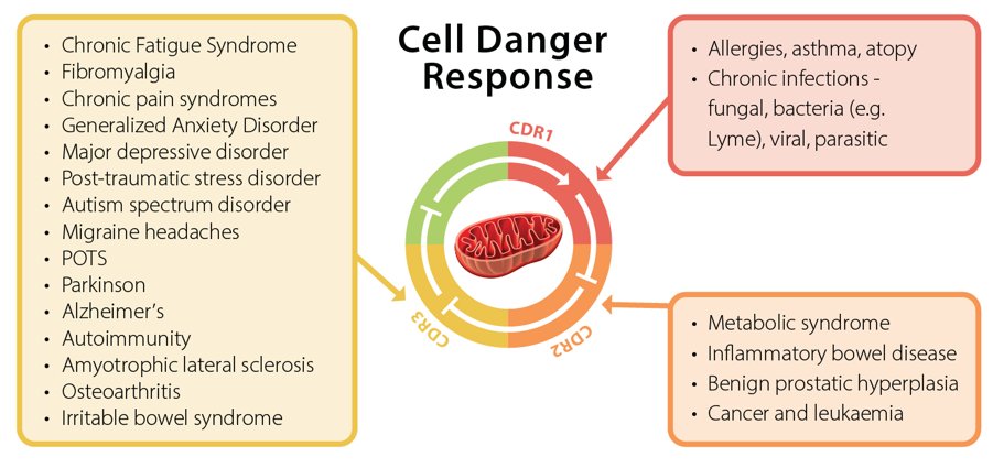 Schema del Cell Danger Response con le patologie associate a ciascuna delle tre fasi