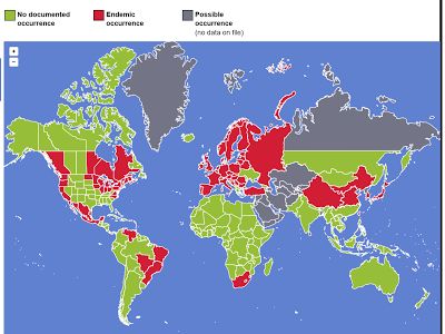 Mappa mondiale della diffusione della malattia di Lyme, con aree endemiche in rosso