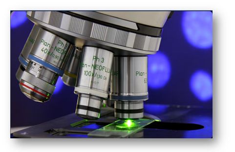 Obiettivi a contrasto di fase di un microscopio su un vetrino illuminato
