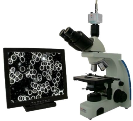 Microscopio in campo oscuro collegato a uno schermo che mostra gli eritrociti